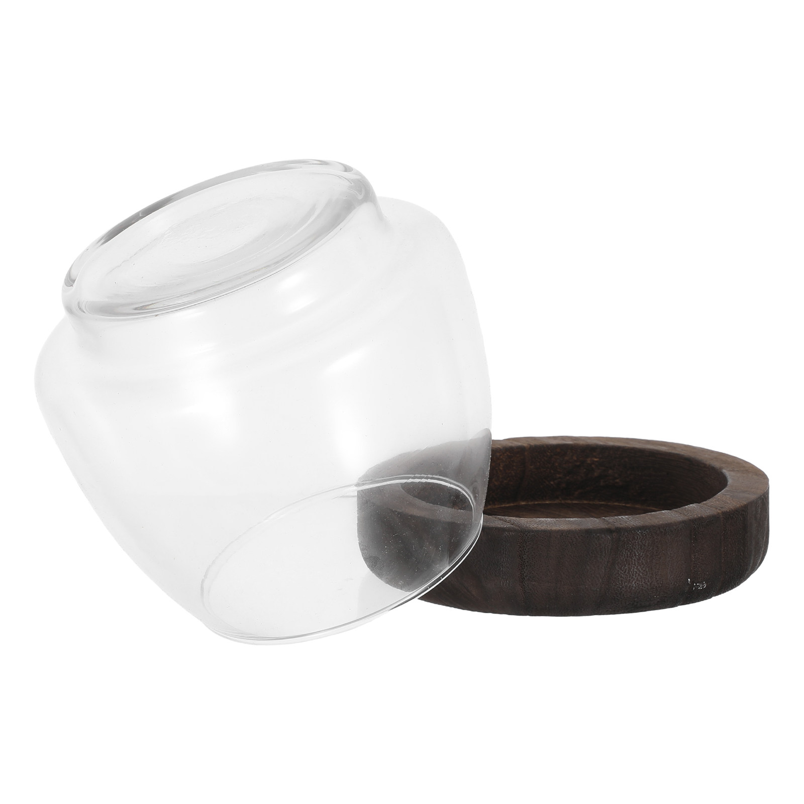Aquarium Plant Holder - Round Glass Hydroponic Plant Holder Fish