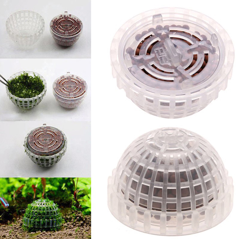 Live Plant Aquarium - 【B】Aquatic Pet Supplies Decorations Aquarium Moss