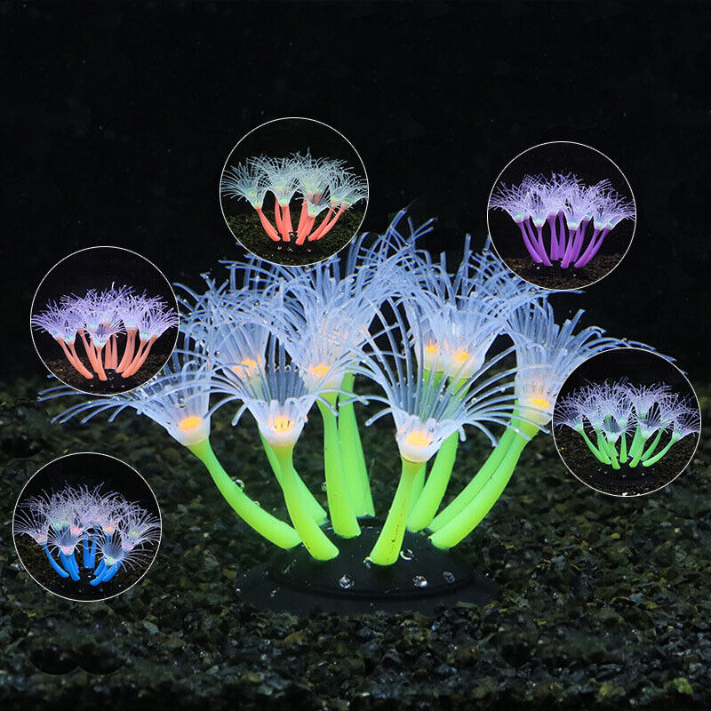Silicone Glowing Landscape Art - огляд і ціна Live Plant Aquarium