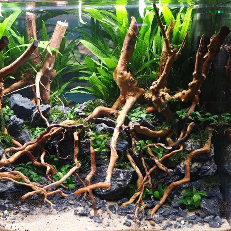 Natural Driftwood Root Trunk T - огляд і ціна Aquarium Driftwood