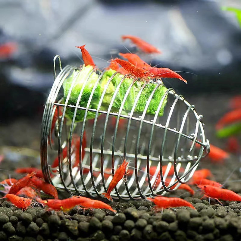 Stainless Steel Aquarium Small - огляд і ціна Aquarium Fertilizer