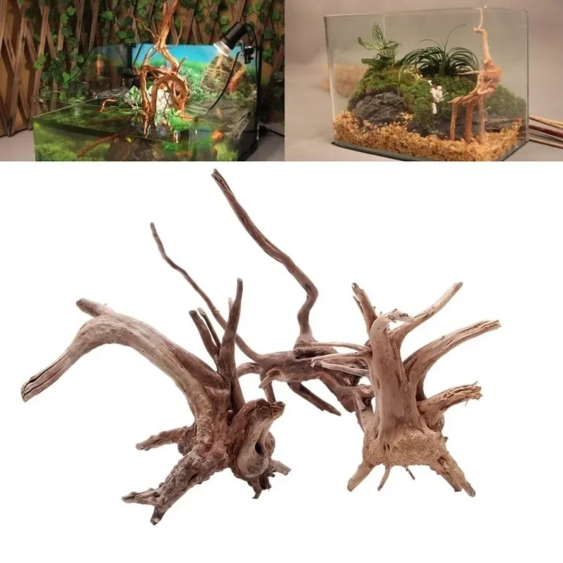 Natural Tree Trunk Driftwood A - огляд і ціна Aquarium Plants Live