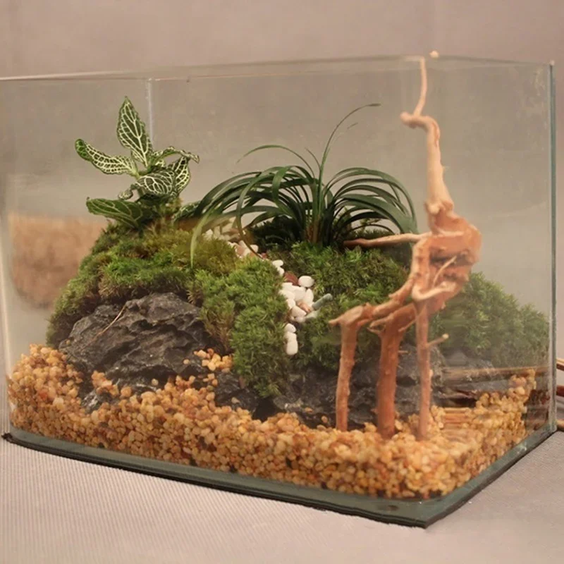 Natural Tree Trunk Driftwood A - огляд і ціна Aquarium Plants Live