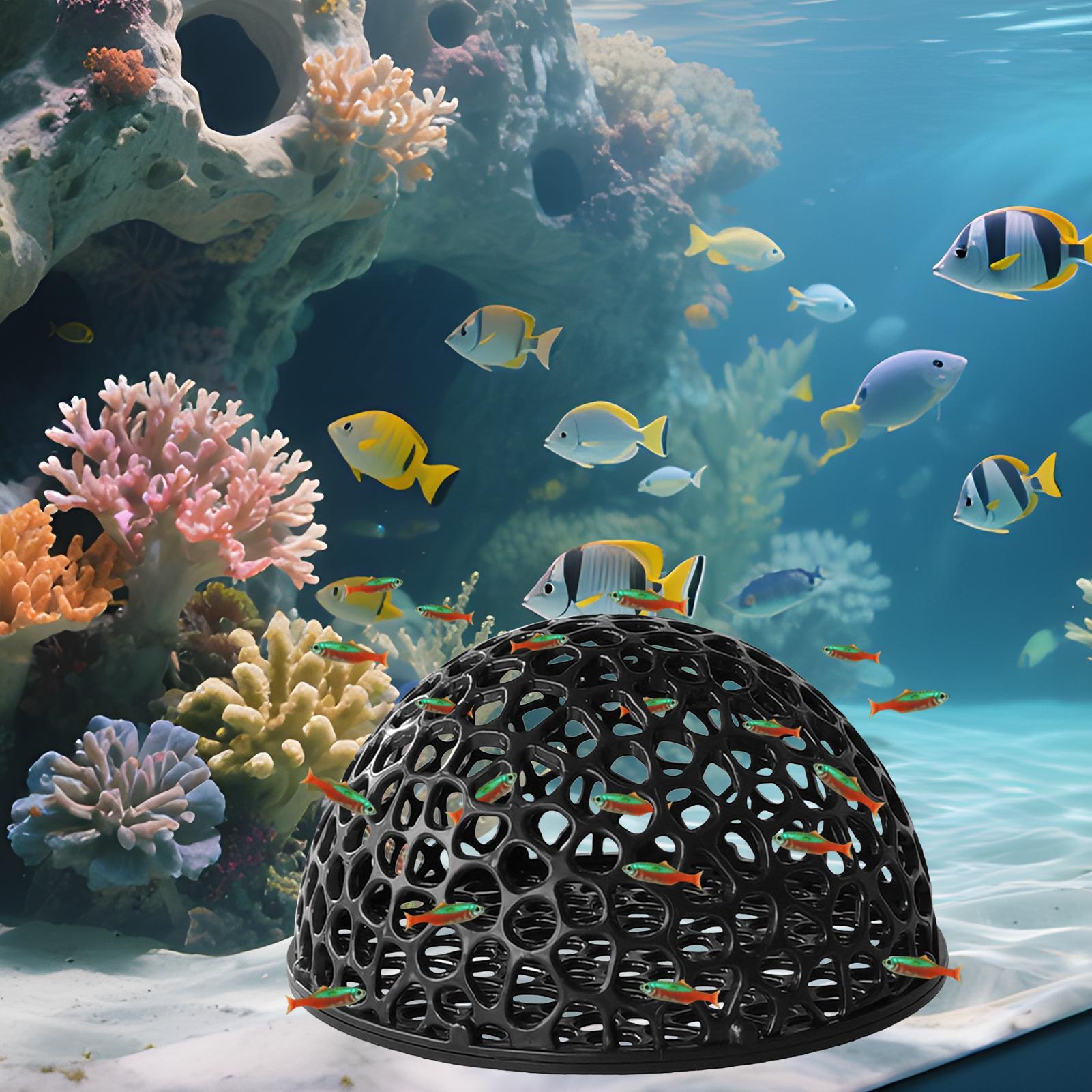 Aquarium Hiden Cave Shelter fo - огляд і ціна Aquarium Plants Live