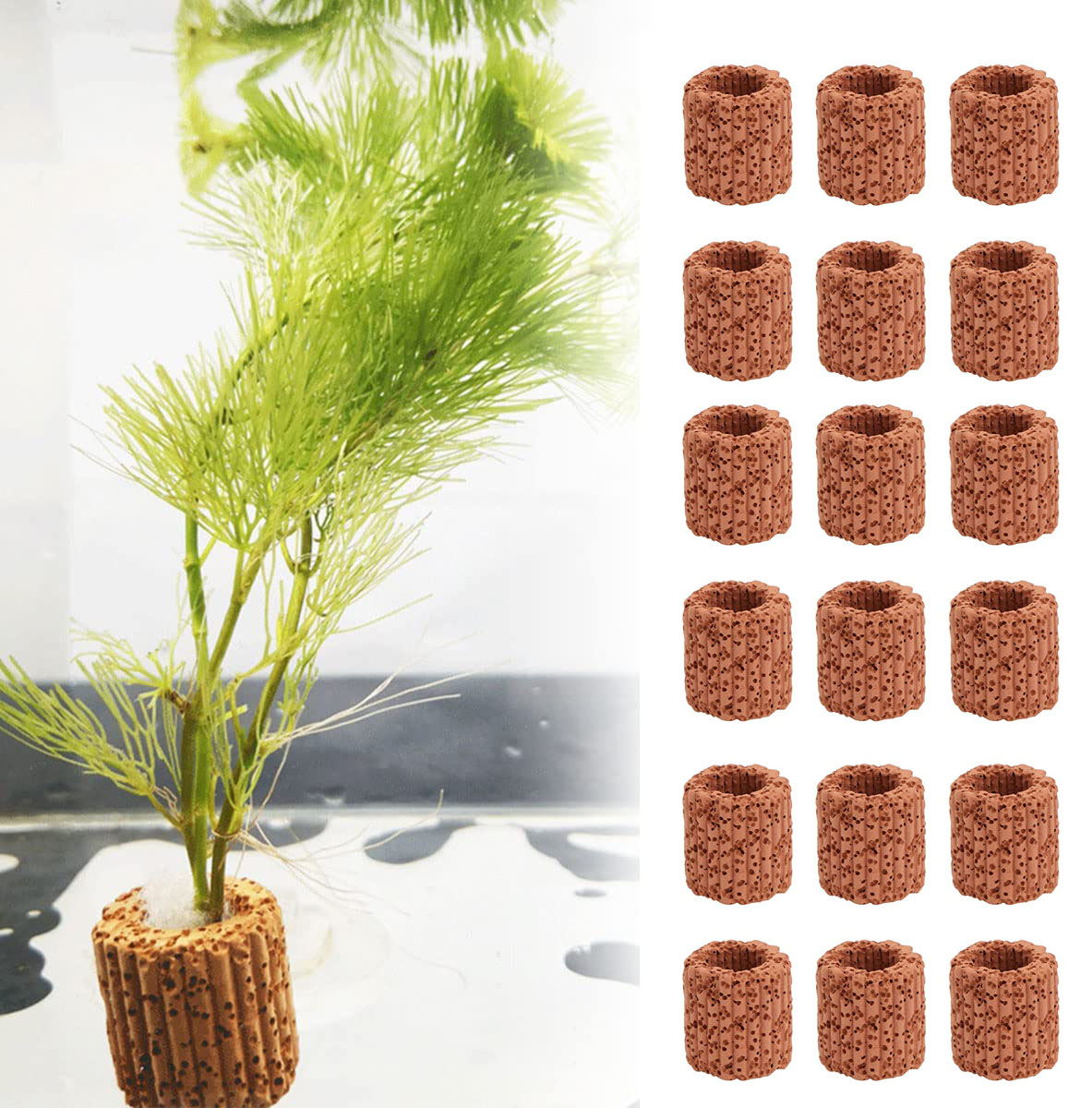 10/20Pcs Aquatic Water Plant F - огляд і ціна Plant Aquarium Pot