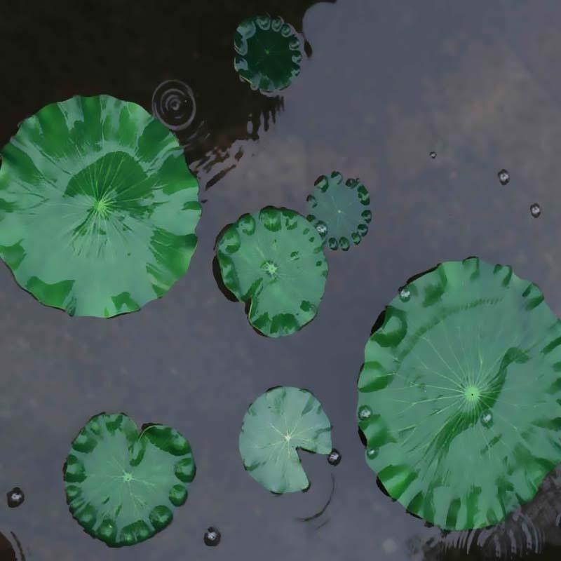 2026 Artificial Water Lily Lot - огляд і ціна Aquarium Plant Substrate