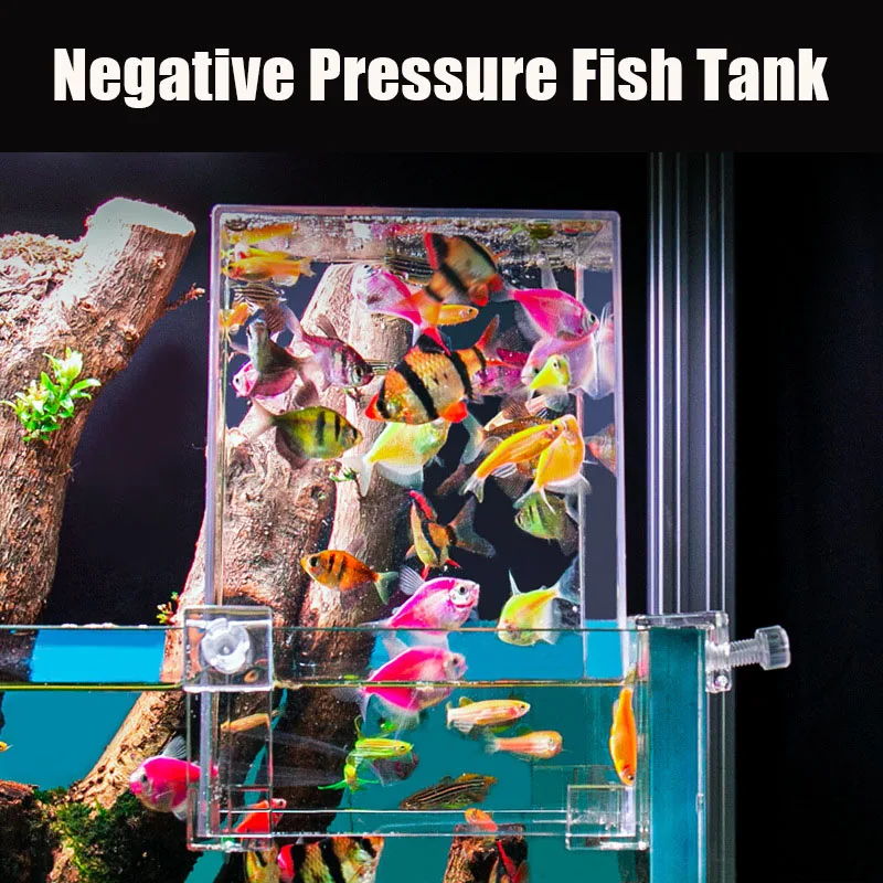 Creative Aquarium Tanks Negati - огляд і ціна Plant Aquarium Pot