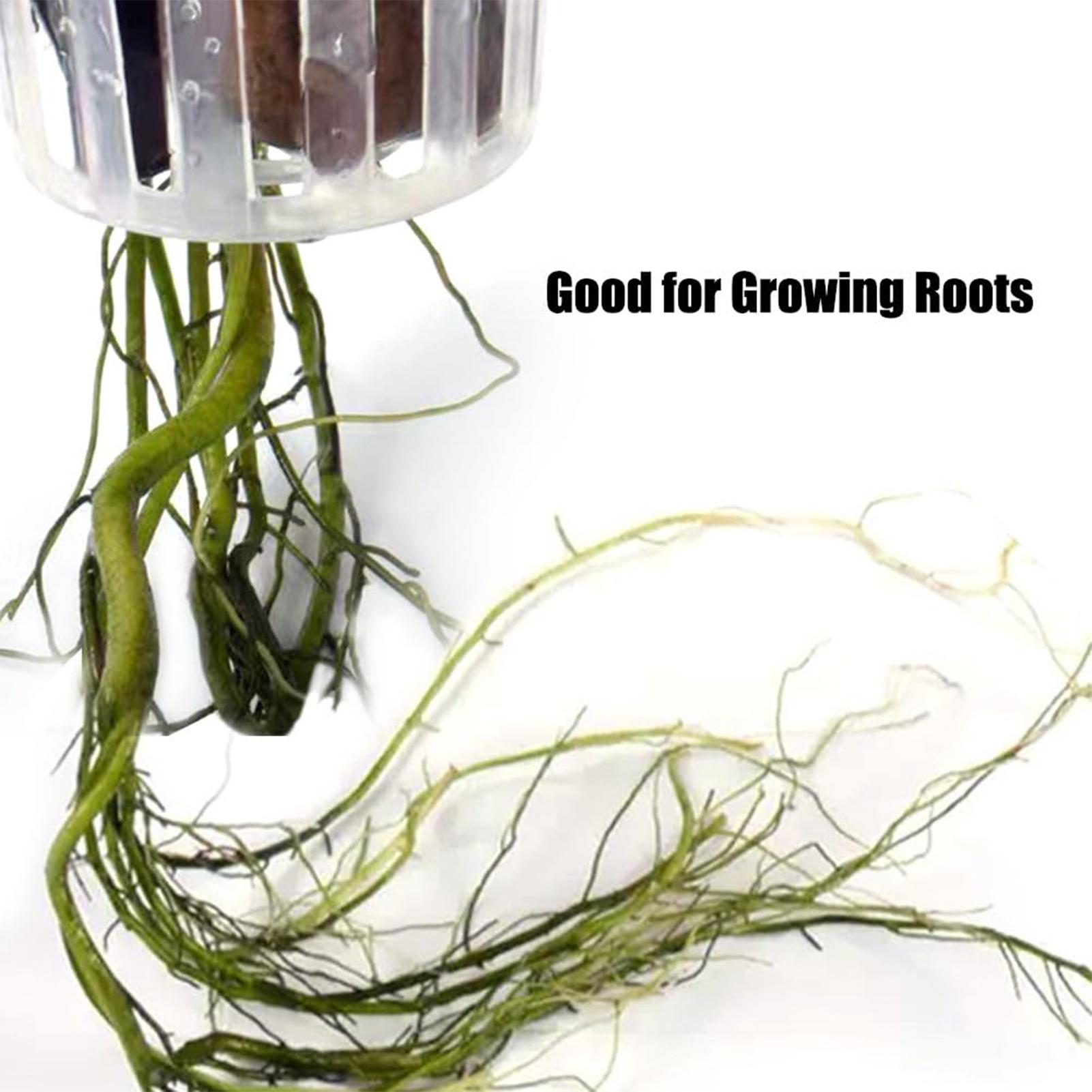 2PCS Hangable Aquatic Plant Ho - огляд і ціна Plant Aquarium Pot