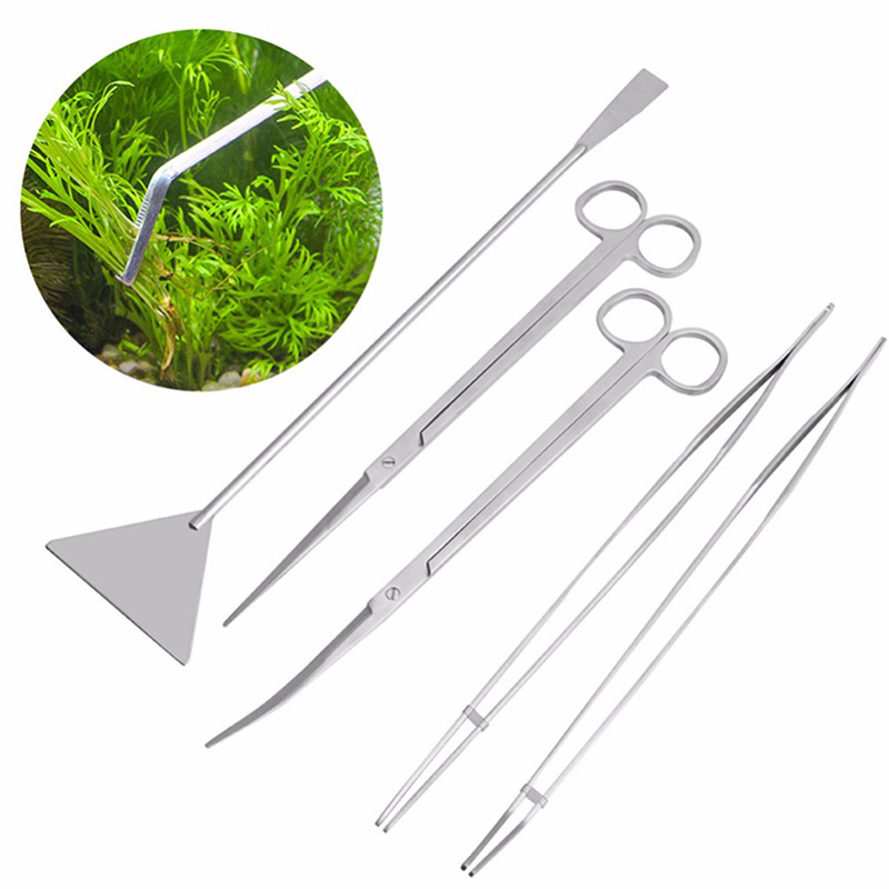 Professional Aquarium Maintena - огляд і ціна Live Plant Aquarium