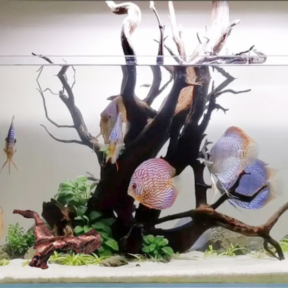 Creative Irregular Shape Coral - огляд і ціна Aquarium Plant Substrate