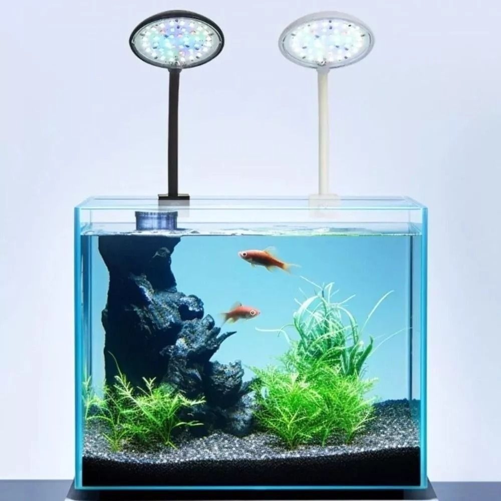 New Mini Fish Tank Clip Lamp 5 - огляд і ціна Live Plant Aquarium