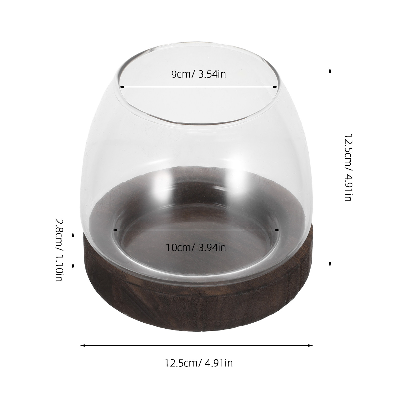 Round Glass Hydroponic Plant H - огляд і ціна Aquarium Plant Holder