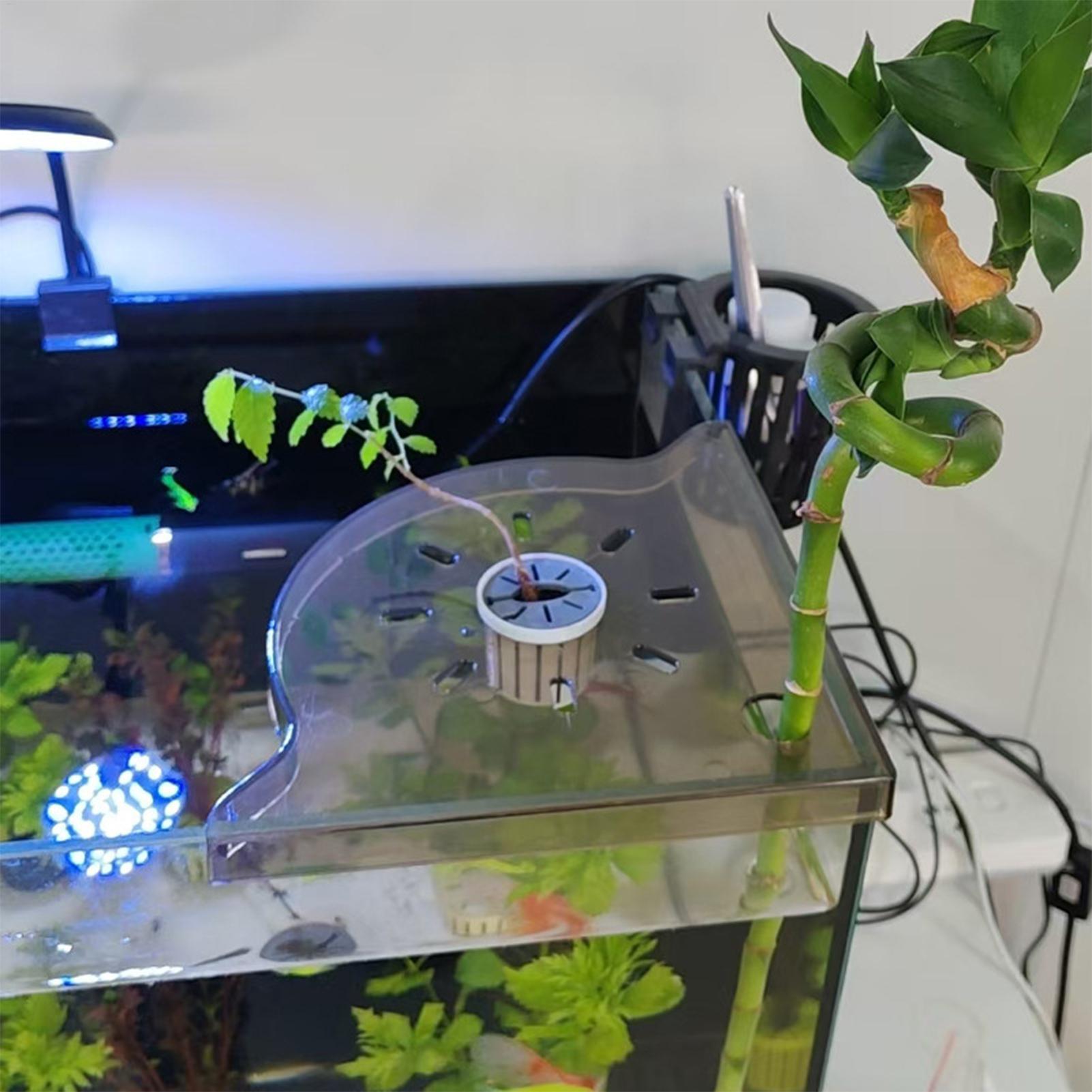 Triangle Fish Tank Corner Stor - огляд і ціна Aquarium Plants Live