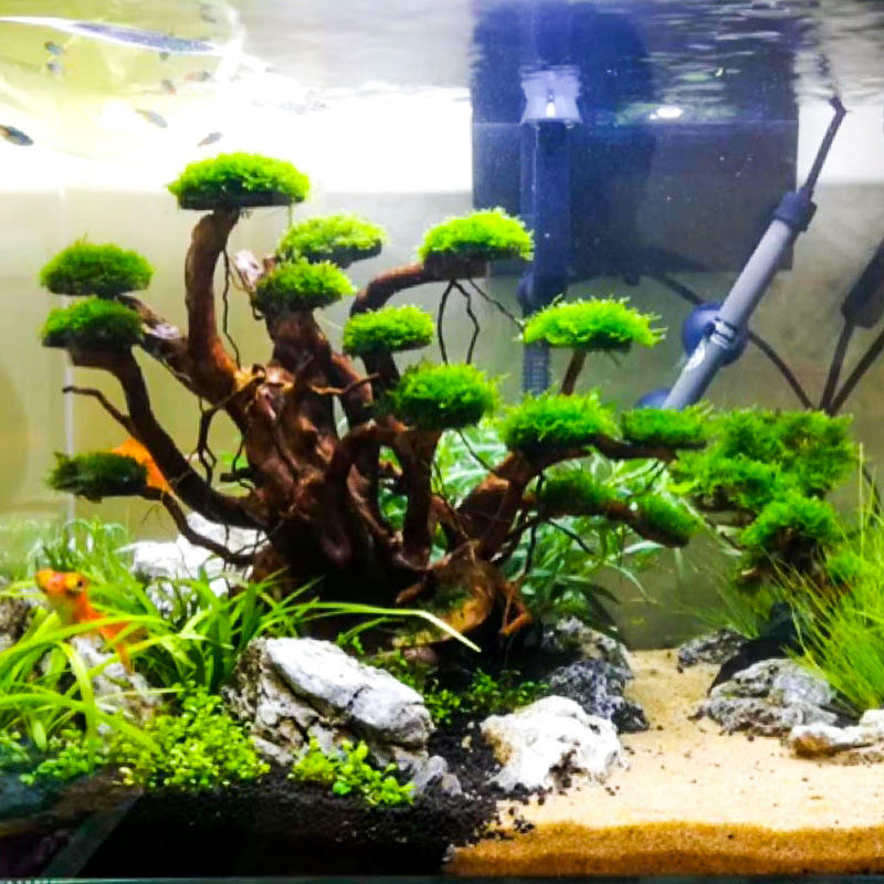 Aquarium Landscaping Moss Tree - огляд і ціна Aquarium Plant Substrate