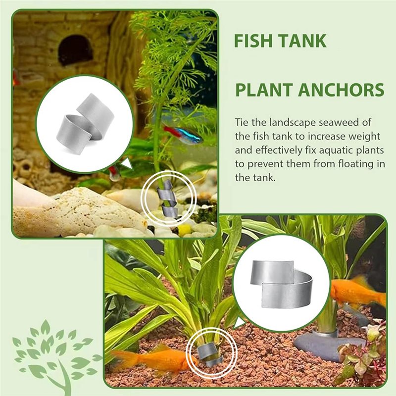 LLCS-Plant Fixed Ring Base For - огляд і ціна Live Plant Aquarium