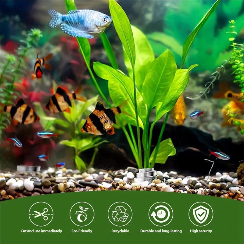 LLCS-Plant Fixed Ring Base For - огляд і ціна Live Plant Aquarium