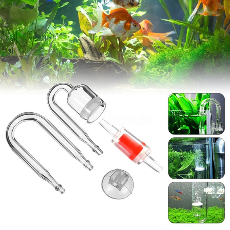 4pcs Set DIY CO2 Diffuser For  - огляд і ціна Aquarium Plants Live