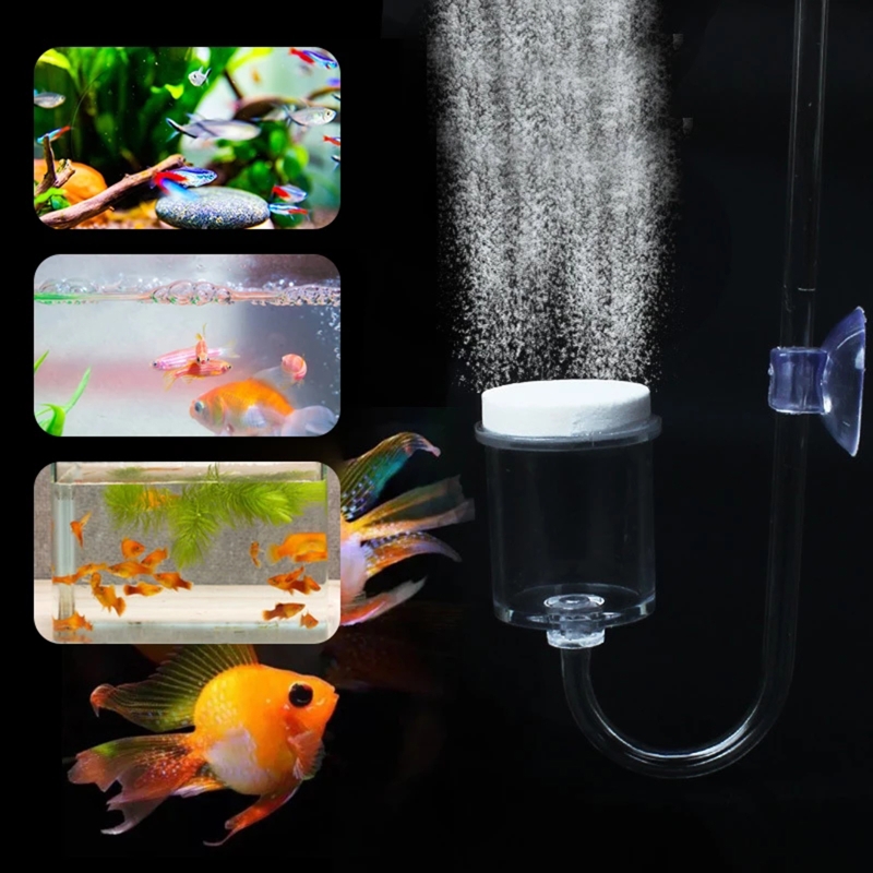 4pcs Set DIY CO2 Diffuser For  - огляд і ціна Aquarium Plants Live