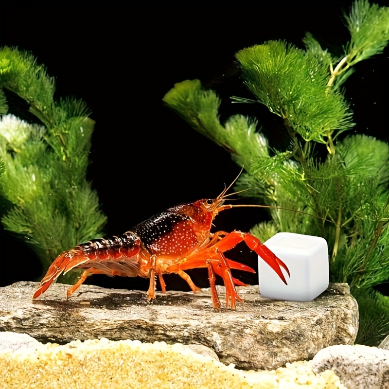6 Pcs Fish Tank Calcium Block  - огляд і ціна Aquarium Fertilizer
