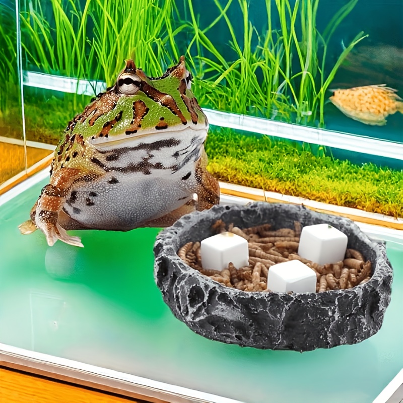 6 Pcs Fish Tank Calcium Block  - огляд і ціна Aquarium Fertilizer