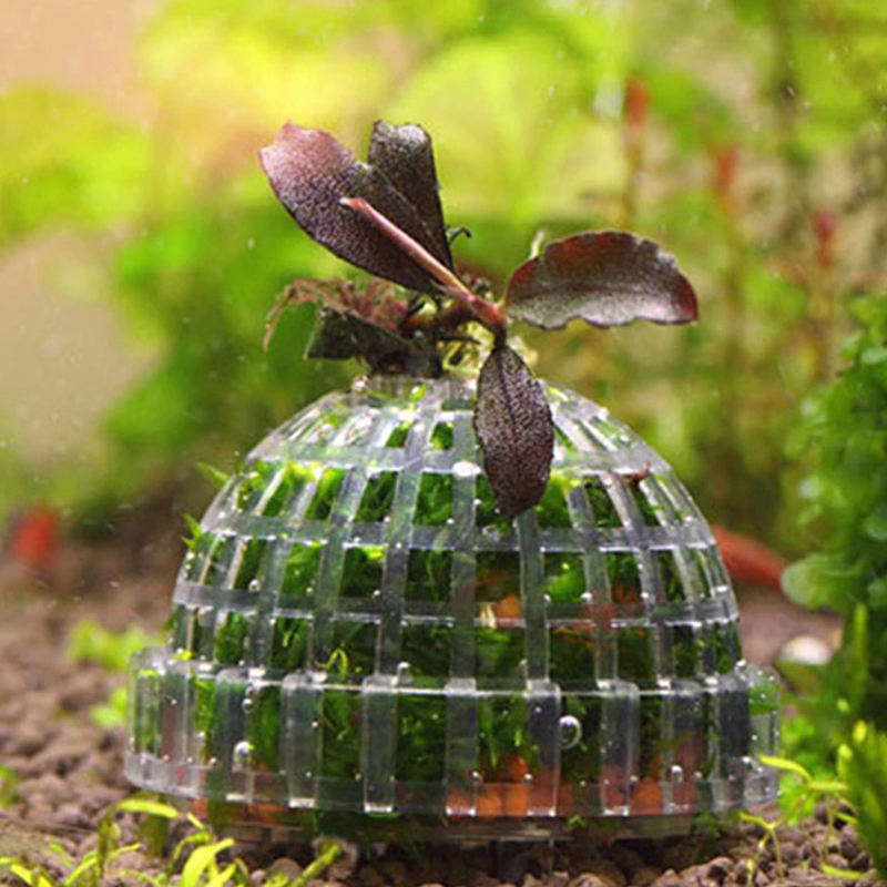 【B】Aquatic Pet Supplies Decora - огляд і ціна Live Plant Aquarium